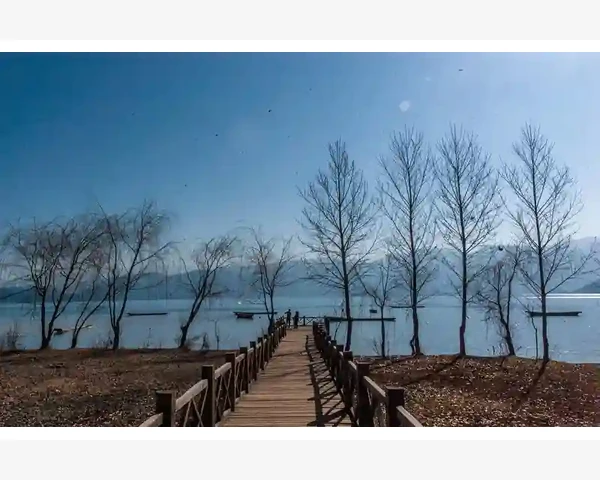 脾胃虚弱腹泻吃什么水果好